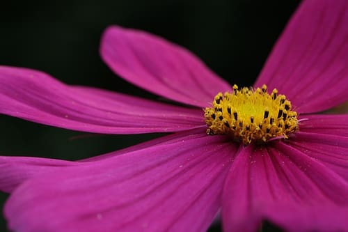 <a href="http://www.flickr.com/photos/adulau/6200003465/" target="_Blank">Photo credit Alexandre Dulaunoy</a>