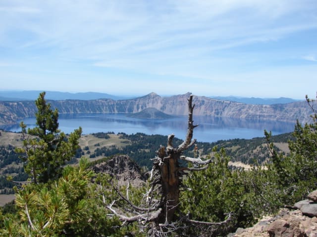 DSC06917