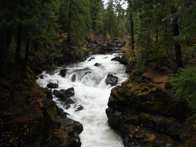 DSC08308