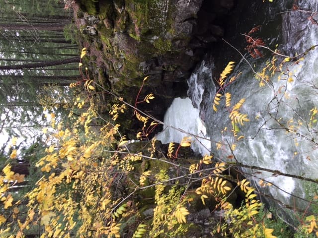 oct-hike1