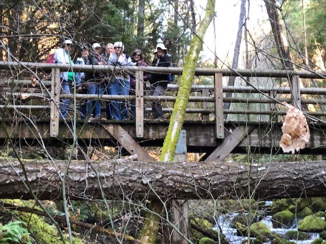 Behind the hikers is a lovely, noisy cascade of water. But the hikers are attractive also!