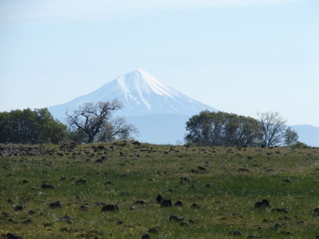 DSC05516
