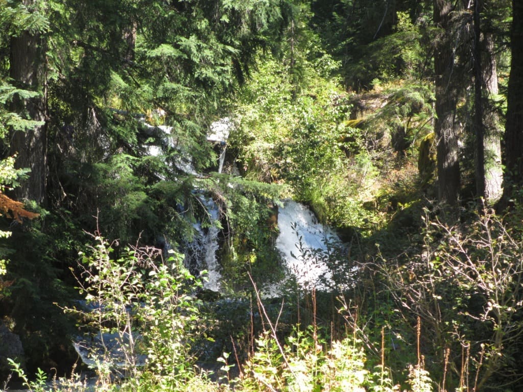 IMG_2148