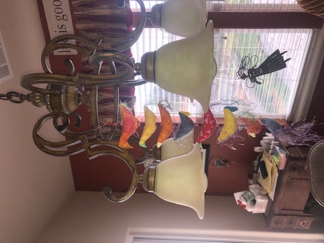 Mar-2022-RF-birds