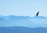 Eagle mountain